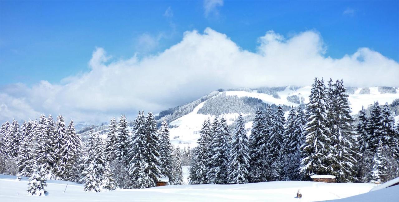 Hotel La Grange D'Arly Megève Dış mekan fotoğraf